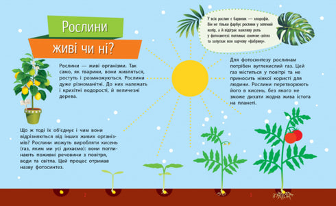 Why are there plants?